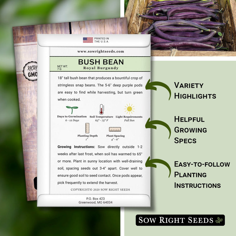royal burgundy bush bean seed packet includes variety highlights, helpful growing specs, easy to follow planting instructions