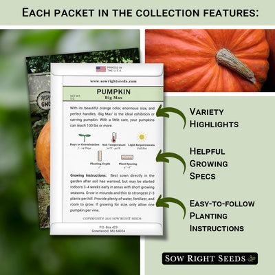 each packet in the classic pumpkin seed collection features variety highlights helpful growing specs easy to follow planting instructions