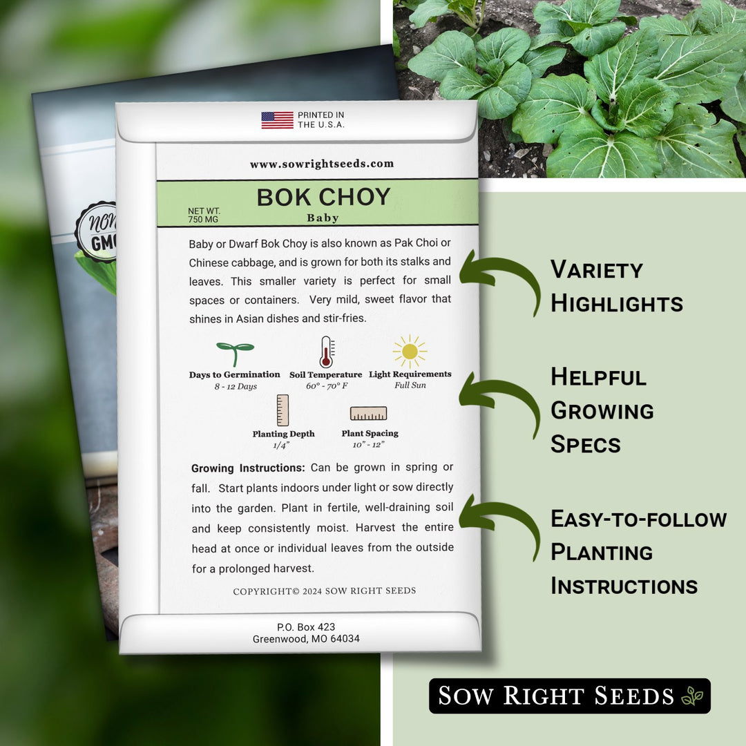 Baby Bok Choy Seeds | Chinese Cabbage for Container Gardening