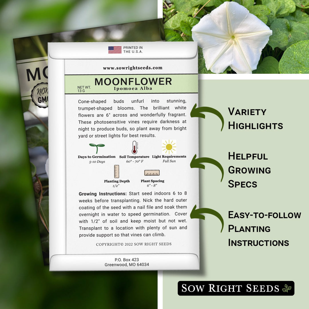 moon flower seeds for sale Sow Right Seeds - Moonflower (Ipomoea alba) Flower Seeds for Planting - Beautiful Flowers to Plant in Your Home Garden - Non-GMO Heirloom Seeds