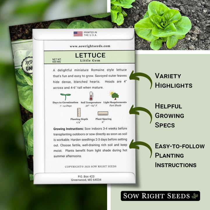 planting little gem lettuce seeds Little Gem Lettuce Seeds for Planting