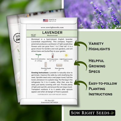 munstead strain lavender seed packet includes variety highlights helpful growing specs easy to follow planting instructions