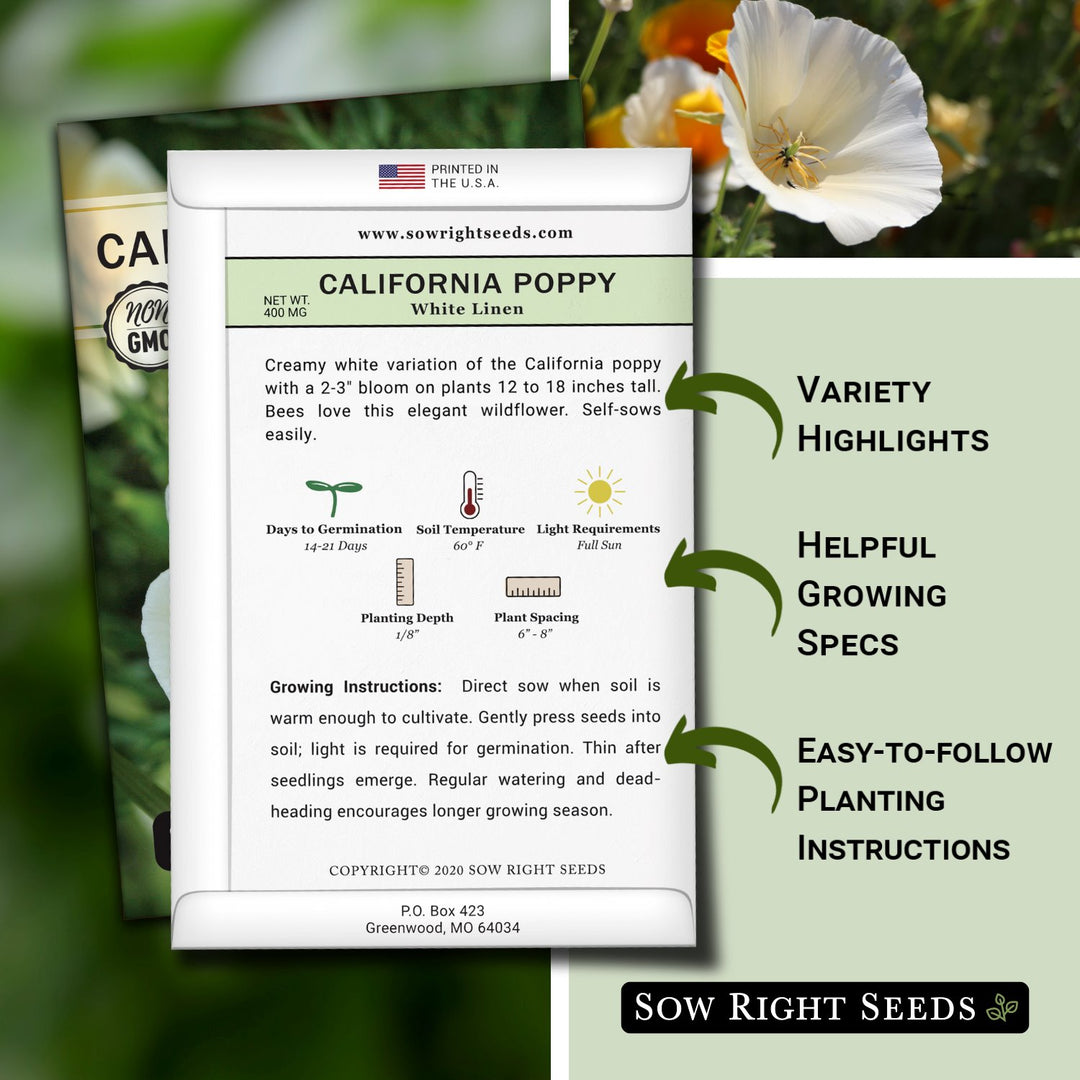 best time to plant poppy seeds in california White Linen California Poppy
