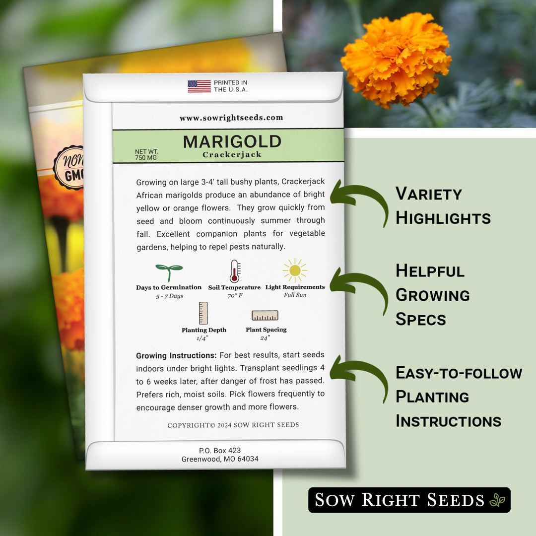 marigold seed facts Sow Right Seeds Crackerjack African Marigold Seeds for Planting - Non-GMO Heirloom Seed Packet with Instructions - Companion Plant