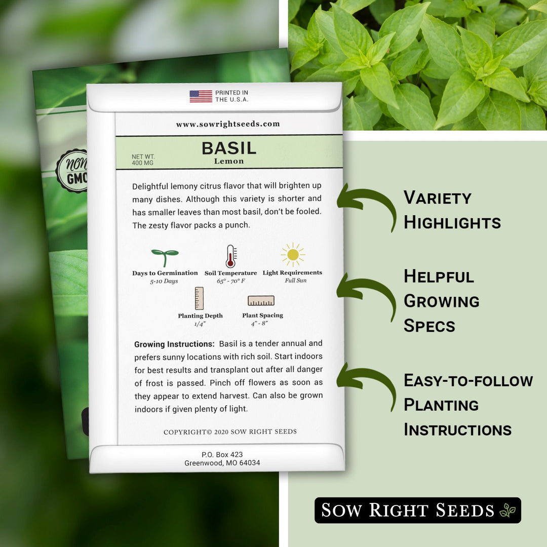 basil seeds planting instructions Lemon Basil