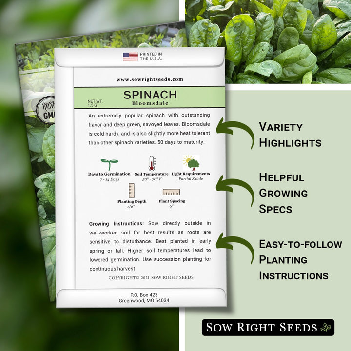 spinach seeds for planting Bloomsdale Spinach Seeds for Planting
