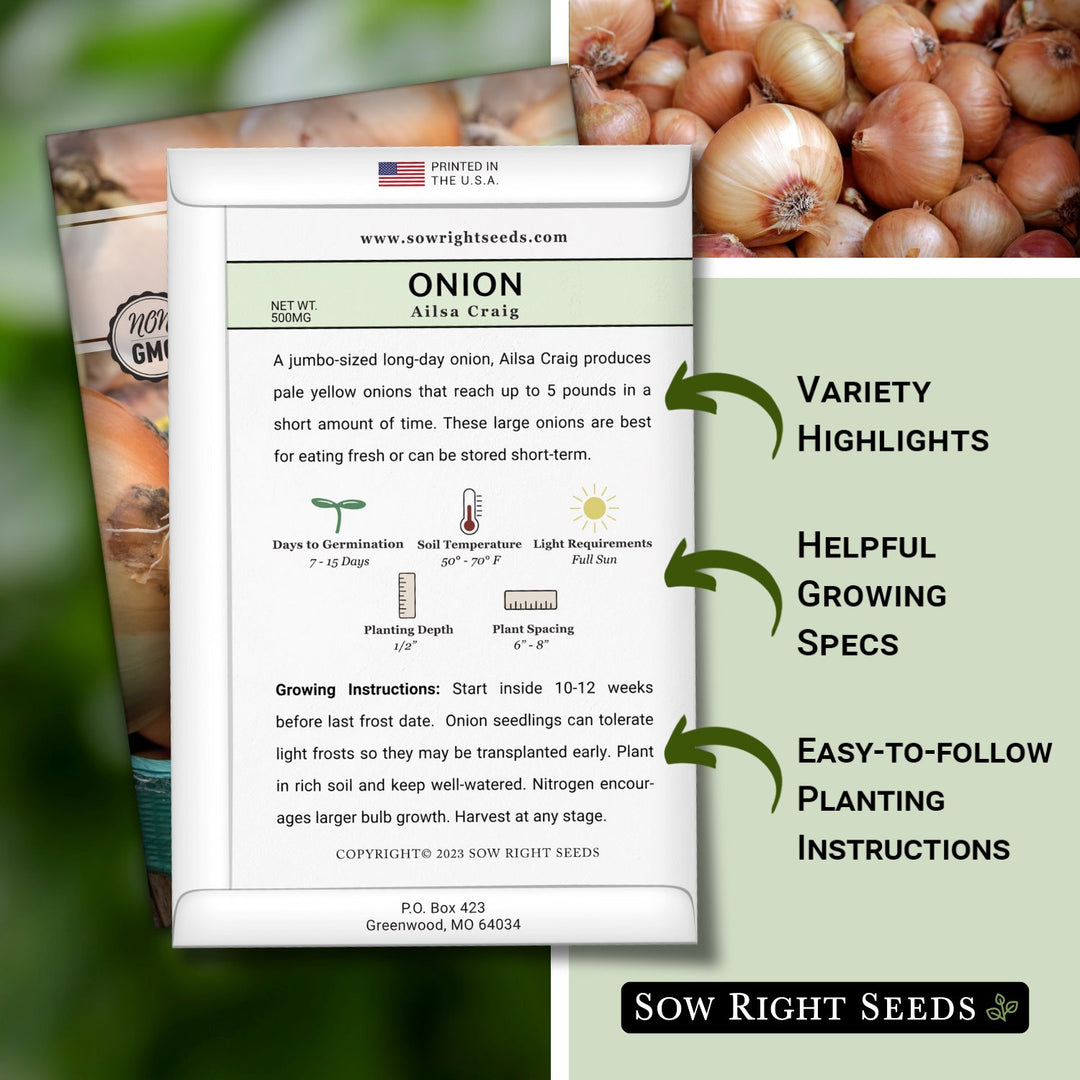 Ailsa Craig Onion – Sow Right Seeds