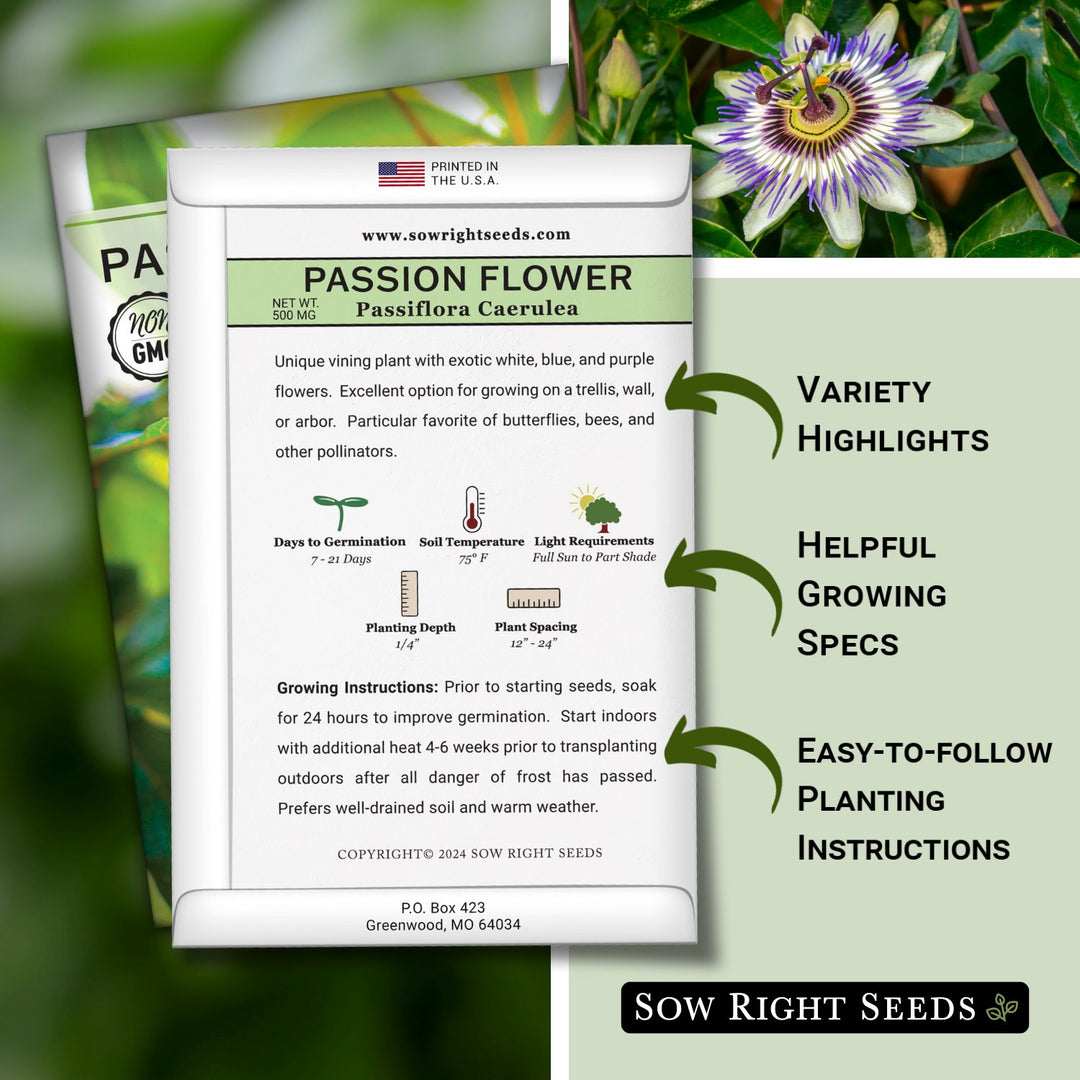 germinating passion flower seeds Passion Flower