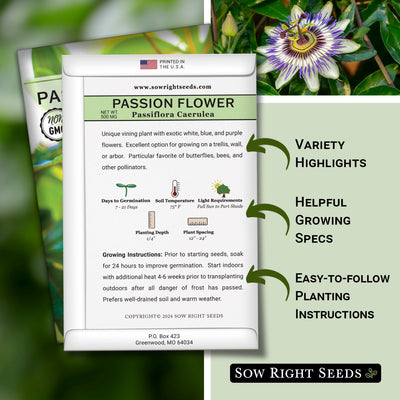 Passion Flower