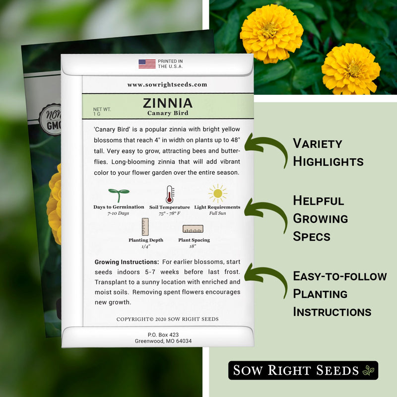 canary bird zinnia seed packet includes variety highlights helpful growing specs easy to follow planting instructions