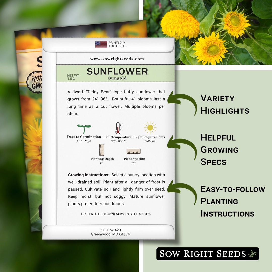 Dwarf Sungold Sunflower Seeds for Planting | Easy to Grow – Sow