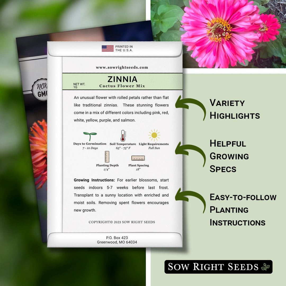 unusual flower seeds Sow Right Seeds - Zinnia Cactus Flower Seeds for Planting - Beautiful Flowers to Plant in Your Garden - Non-GMO Heirloom Seeds