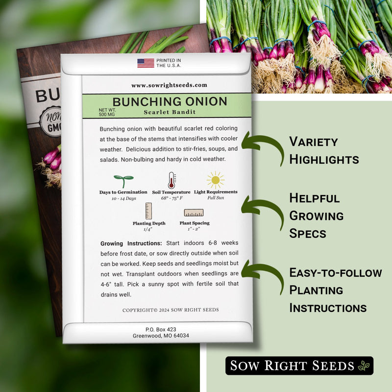 Scarlet Bandit Bunching Onion