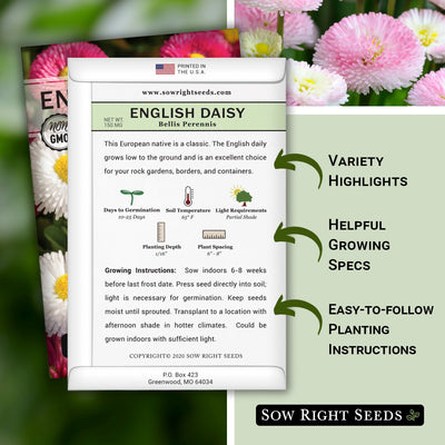 english daisy seed packet includes variety highlights, helpful growing specs, easy to follow planting instructions
