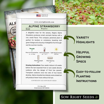 regina alpine strawberry seed packet includes variety highlights helpful growing specs easy to follow planting instructions