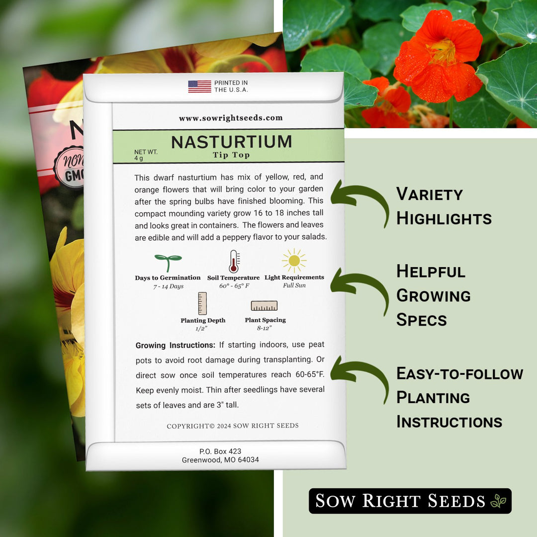 nasturtium seeds planting time Tip Top Nasturtium