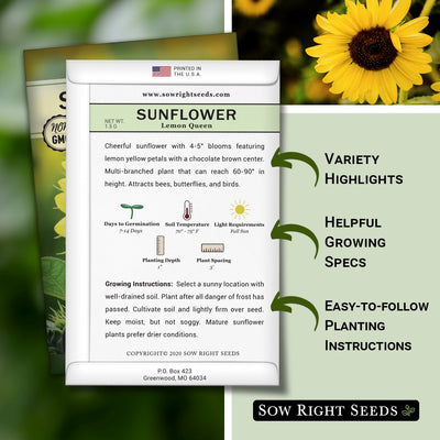 lemon queen sunflower seed packet includes variety highlights helpful growing specs easy to follow planting instructions