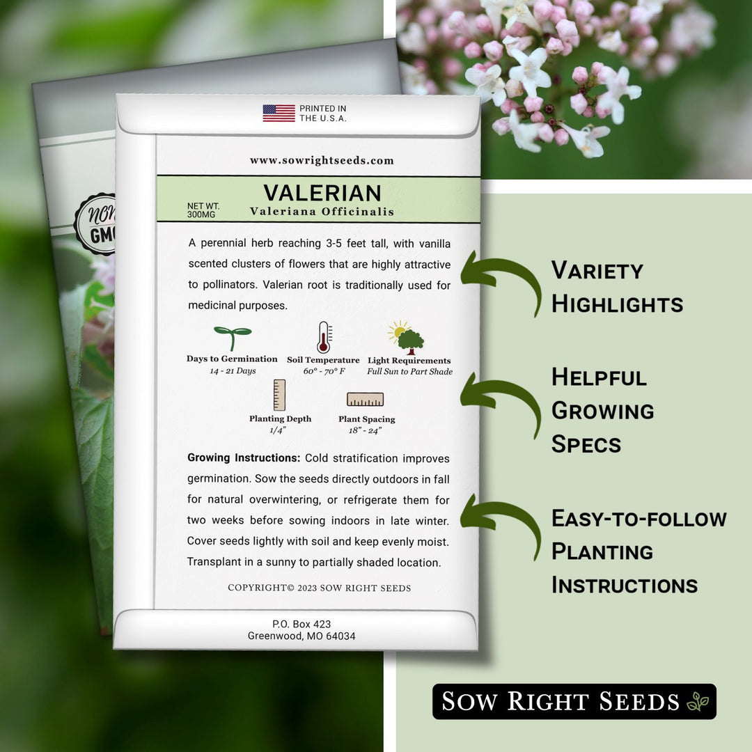 Valerian Seeds – Sow Right Seeds