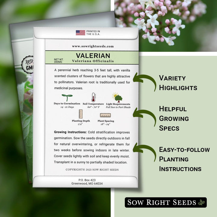 valerian plant seeds Valerian Seeds – Sow Right Seeds