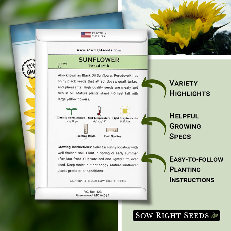 peredovik sunflower seed packet includes variety highlights helpful growing specs easy to following planting instructions