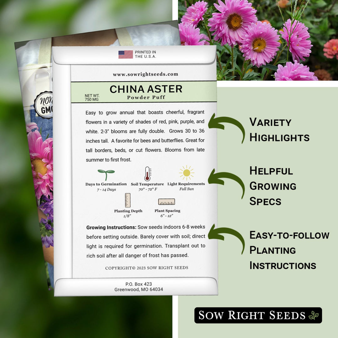 buying flower seeds from china Powder Puff China Aster Seeds for Sale