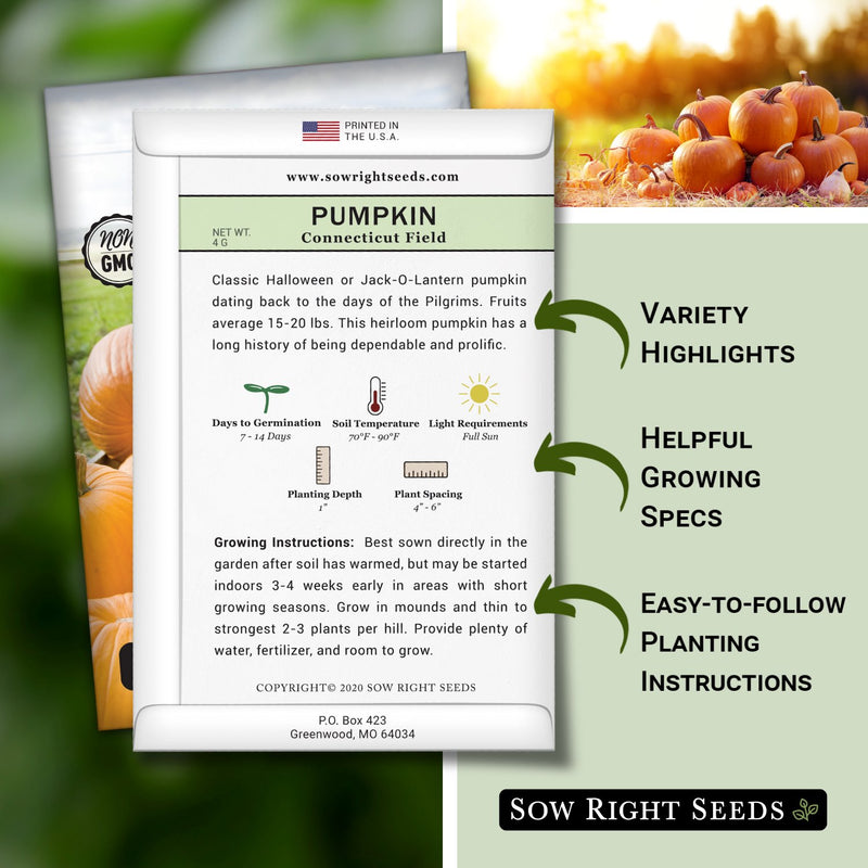 connecticut field pumpkin seed packet includes variety highlight helpful growing specs easy to follow planting instructions