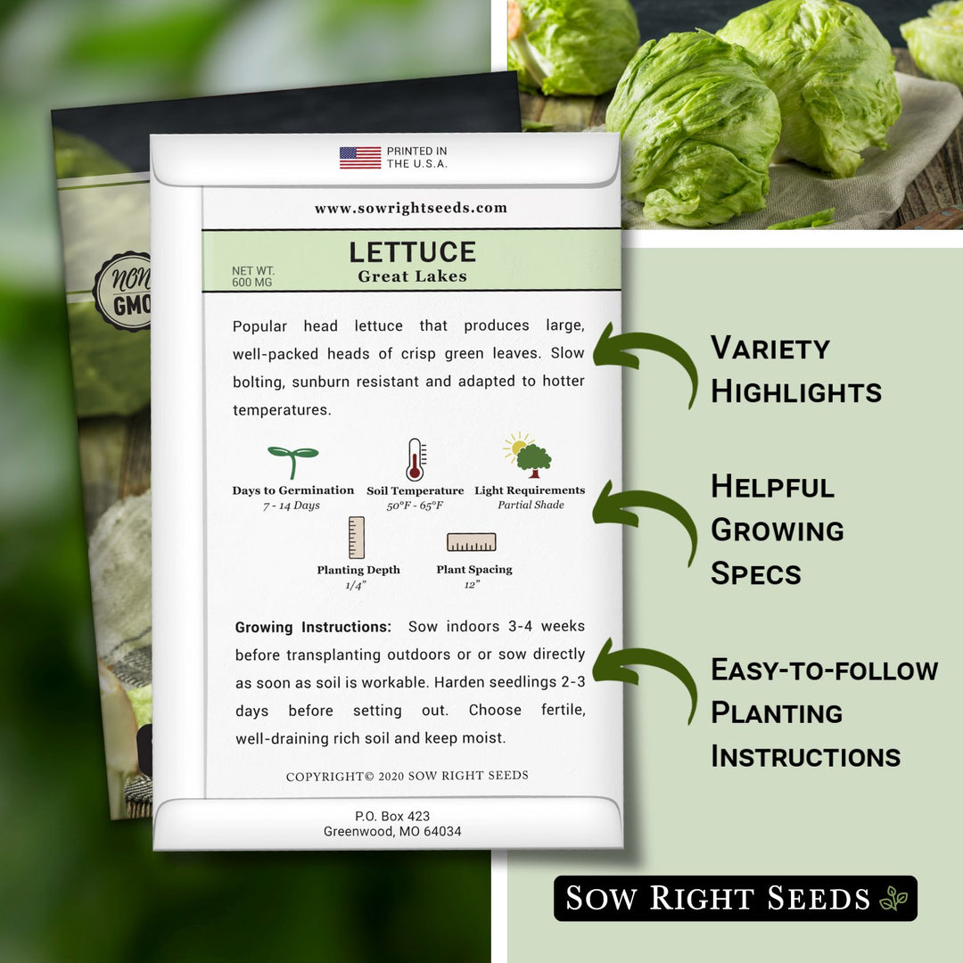 tips for planting lettuce seeds Great Lakes Lettuce Seeds for Planting