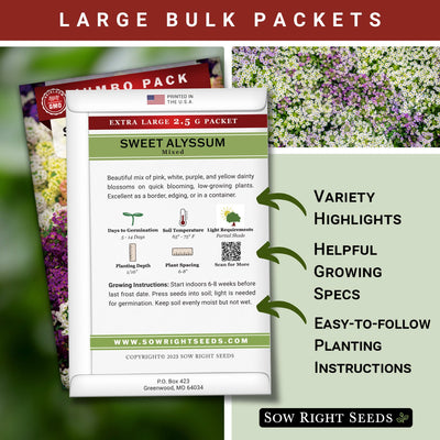 Bulk Sweet Alyssum Mixed 2.5 Grams Seeds