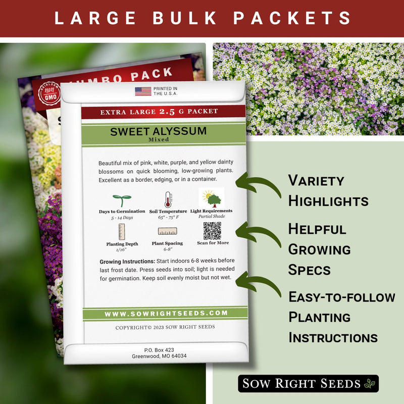 Bulk Sweet Alyssum Mixed 2.5 Grams Seeds