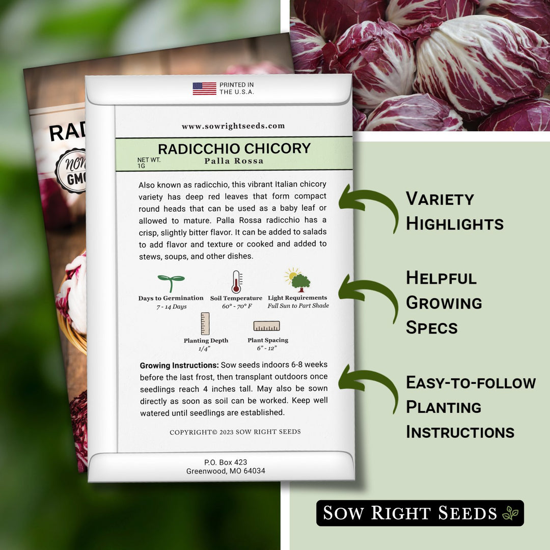 planting radicchio seeds Radicchio Palla Rossa Chicory – Sow Right Seeds