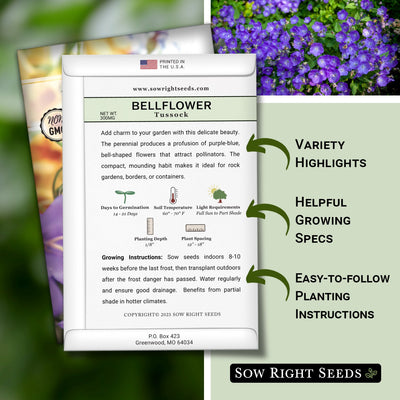 tussock bellflower seed packet features variety highlights helpful growing specs easy to follow planting instructions