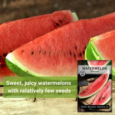 Allsweet Watermelon