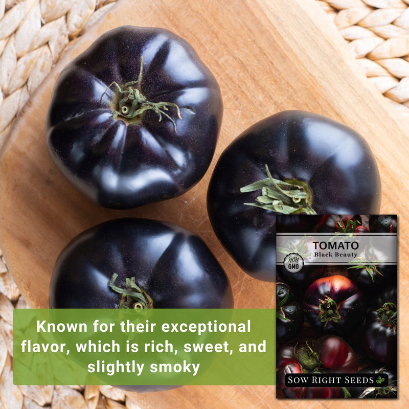 black beauty tomato seeds known for their exceptional flavor which is rich sweet and slightly smoky