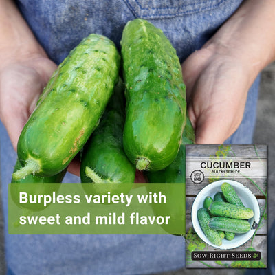 Marketmore Cucumber Seeds