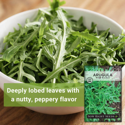 Wild Rocket Arugula Seeds