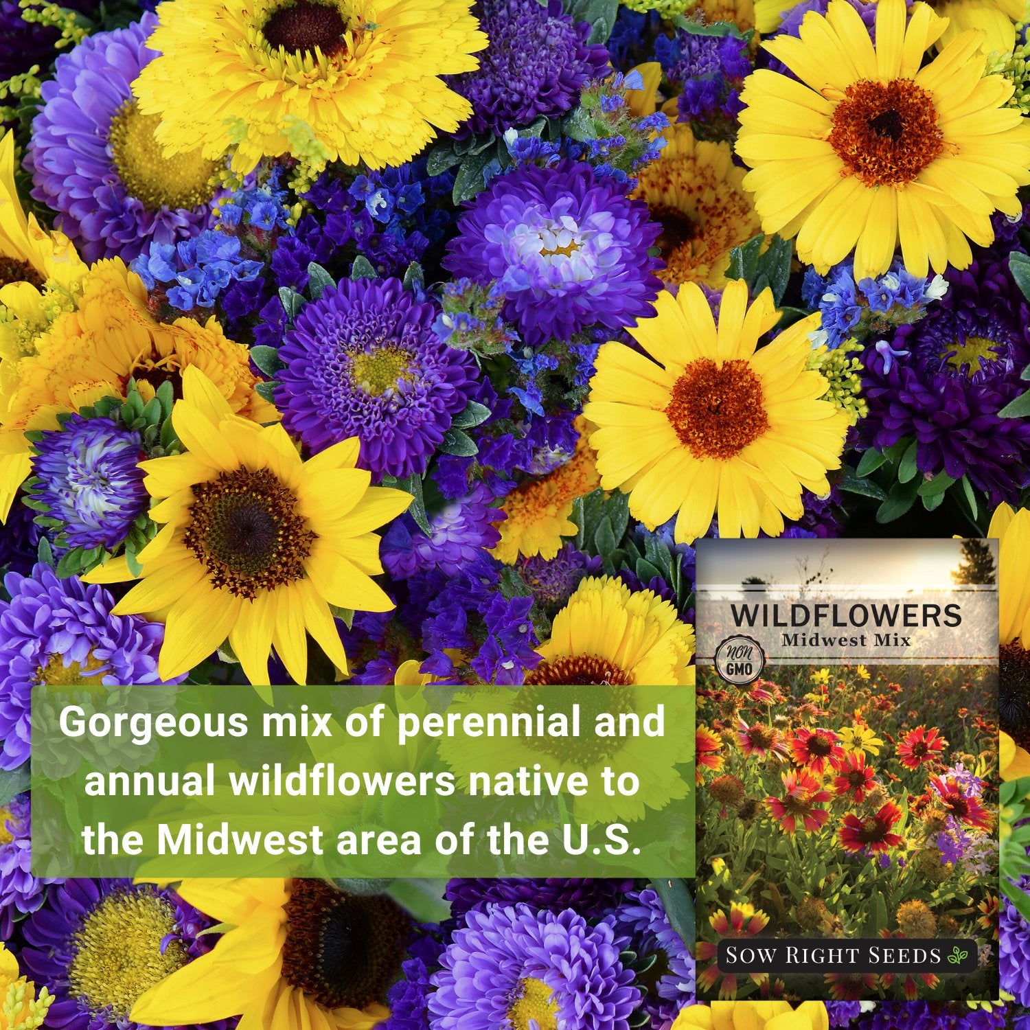 native wildflower seeds midwest Sow Right Seeds - Wildflowers Seeds Mix for Planting in Midwest - Non-GMO Heirloom Varieties to Grow a Wild Flower Garden