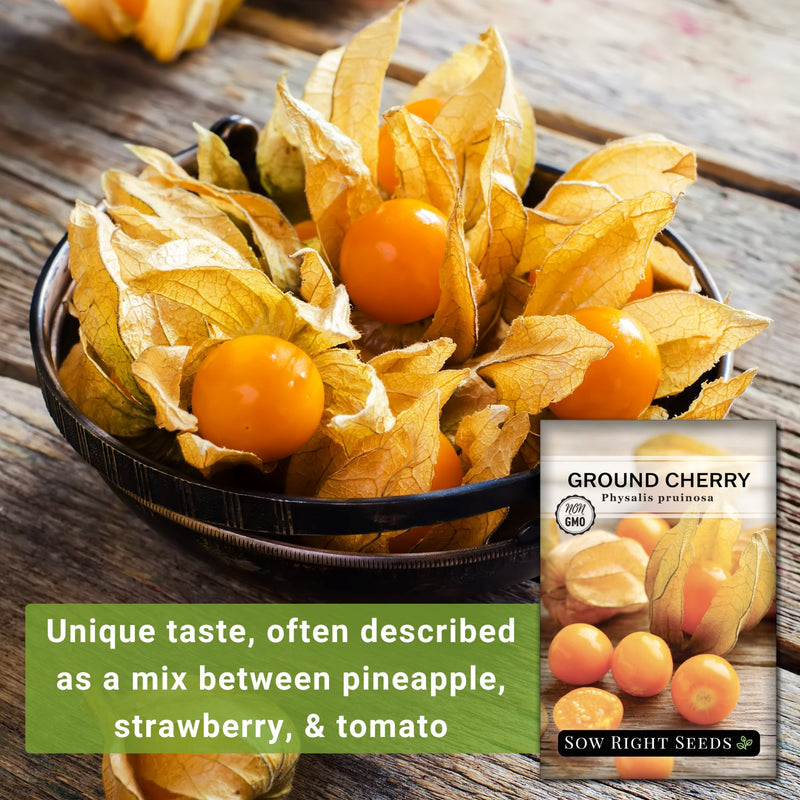 ground cherries seeds unique taste often described as a mix between pineapple strawberry and tomato