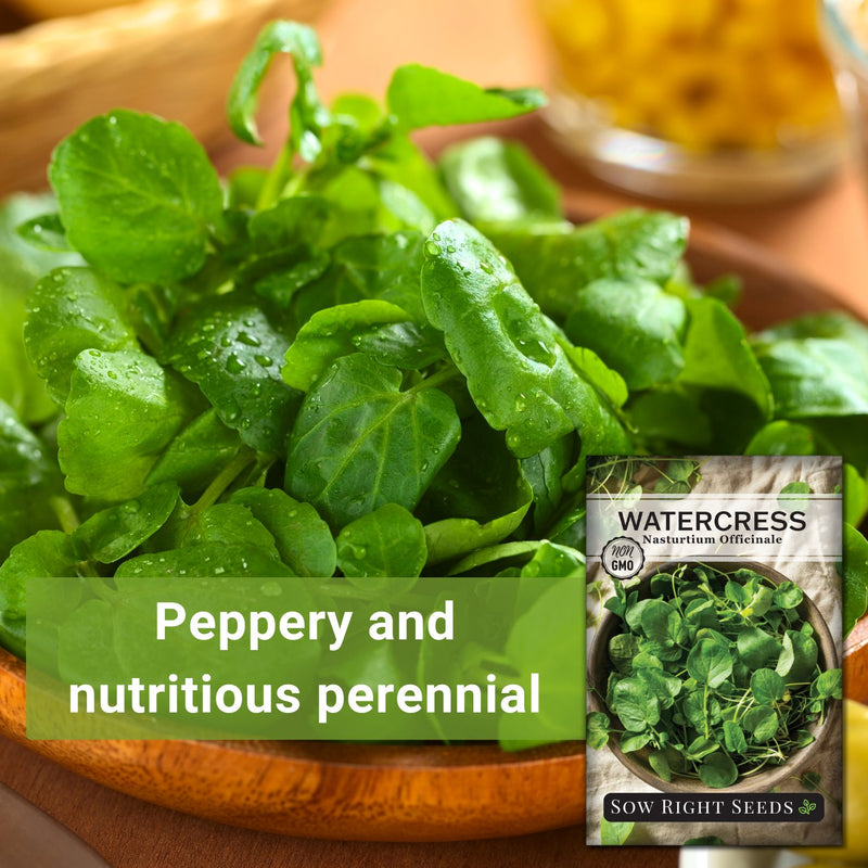 Watercress