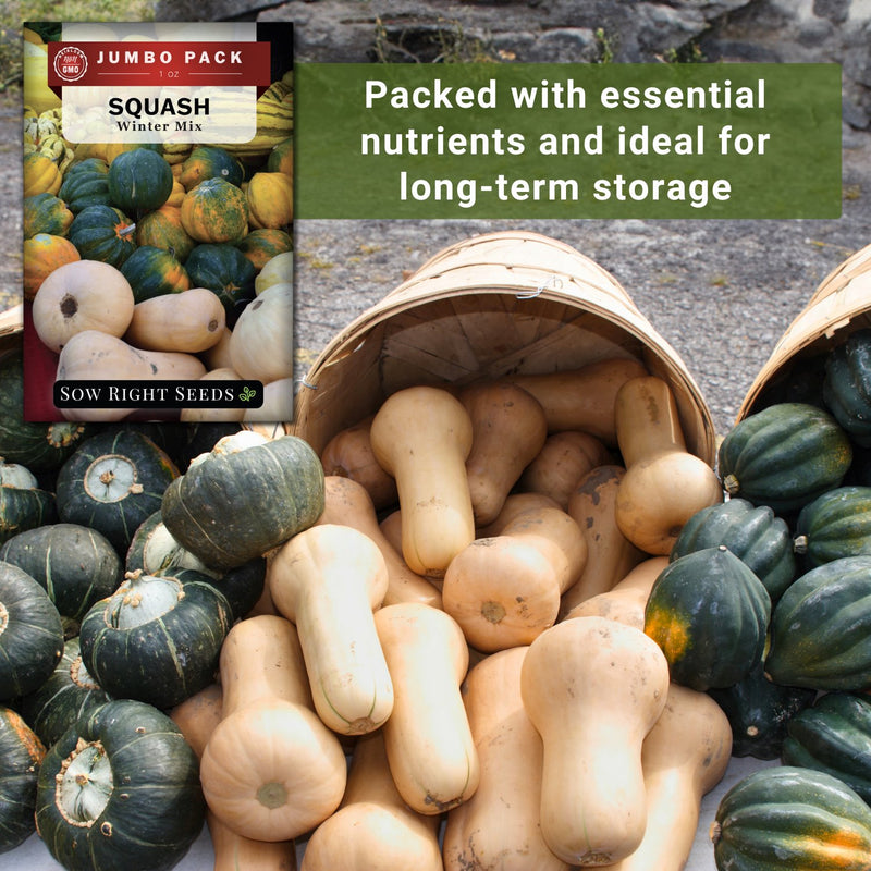 winter mix squash bulk jumbo seeds packed with essential nutrients and ideal for long-term storage