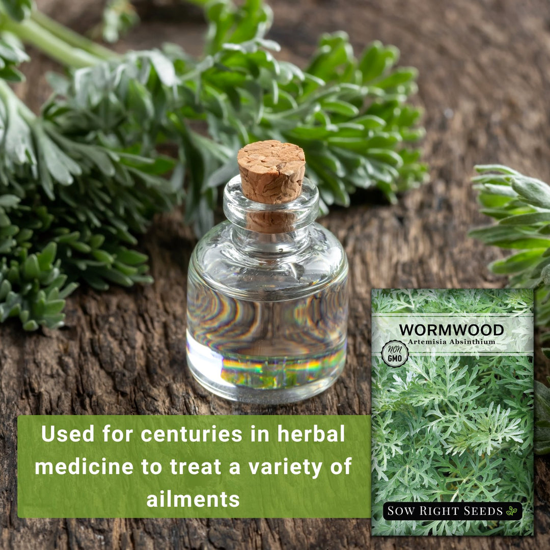 Wormwood – Sow Right Seeds