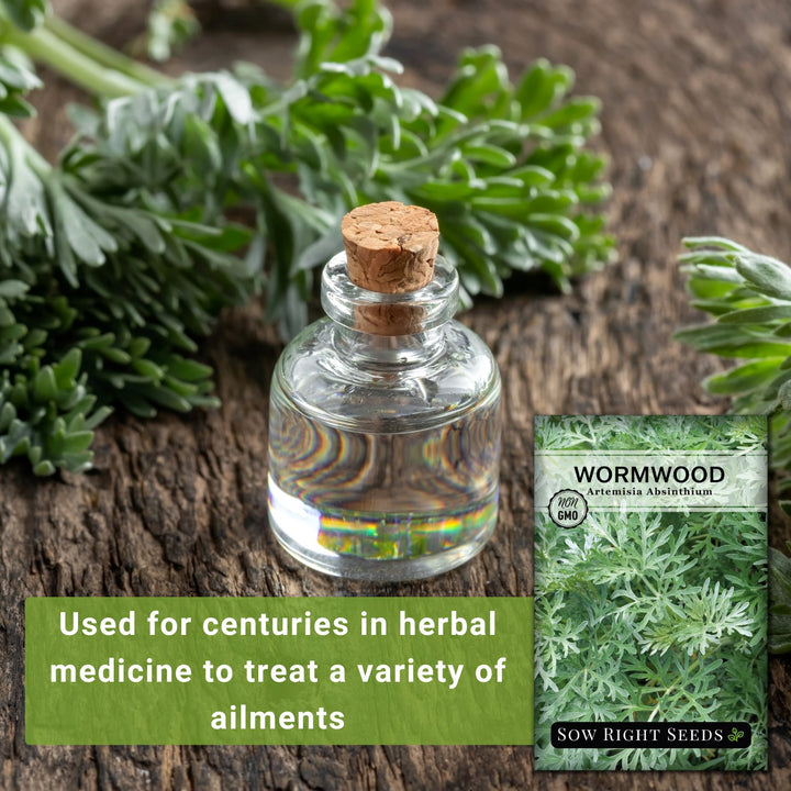 Wormwood – Sow Right Seeds