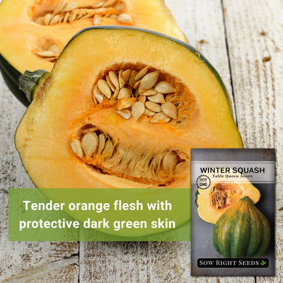 table queen acorn winter squash seeds tender orange flesh with protective dark green skin