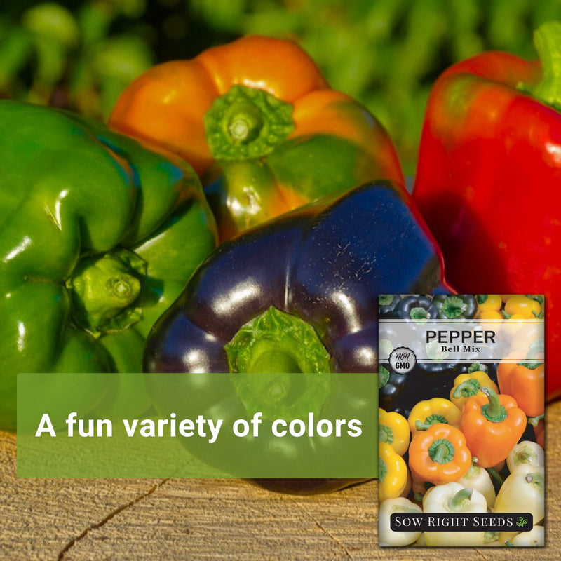 Bell Mix Pepper Seeds