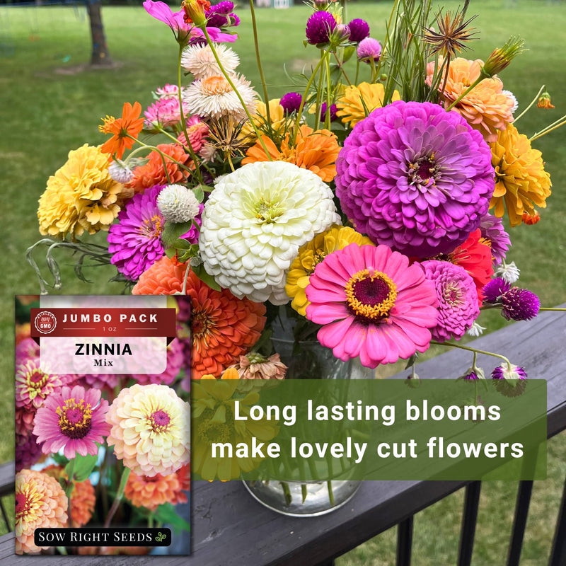 zinnia mix bulk jumbo seeds long lasting blooms make lovely cut flowers