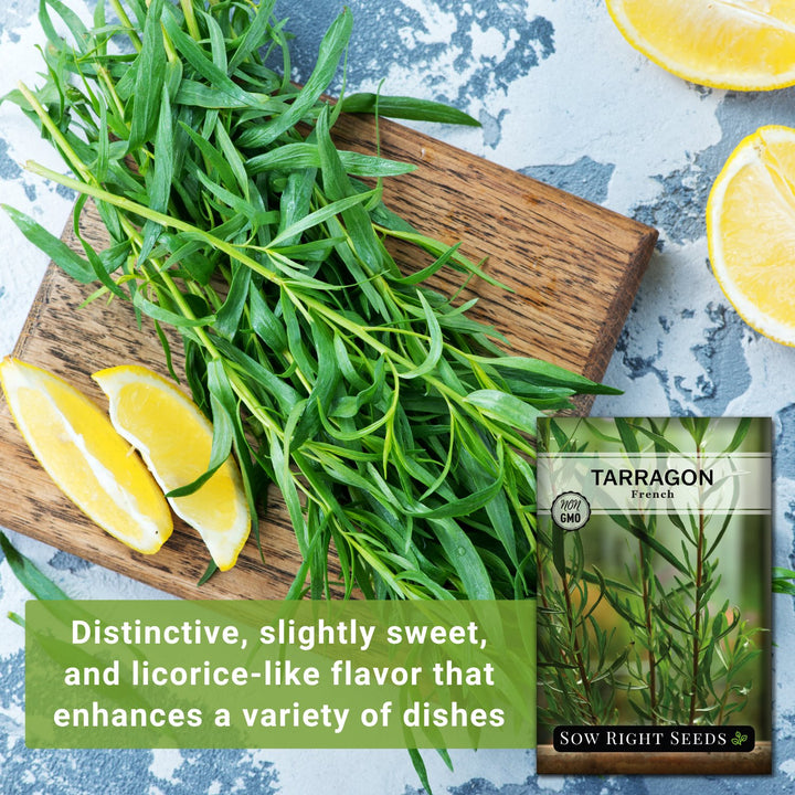 Sow Right Seeds - French Tarragon Seeds for Planting - Non-GMO Heirloom Packet with Instructions to Plant an Outdoor or Indoor Herb Garden