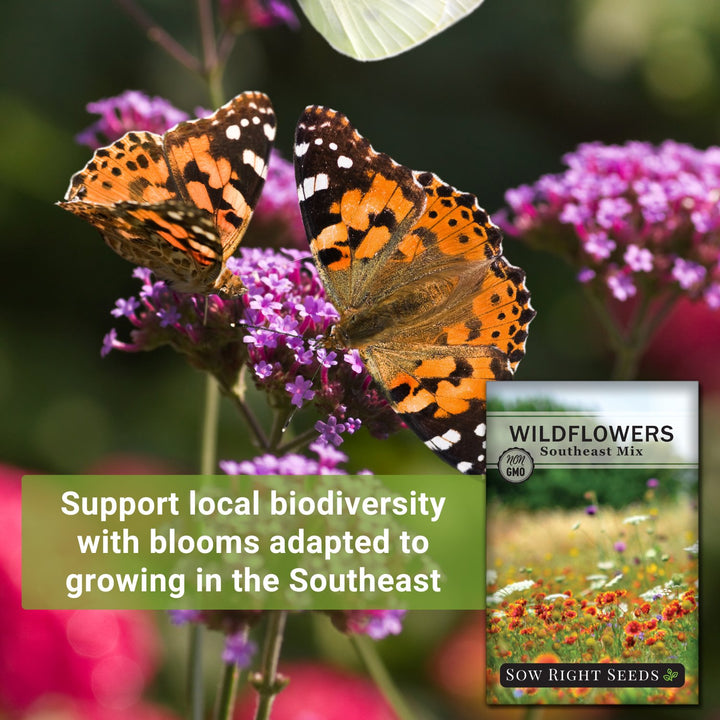 Southeastern Mix Wildflower Seeds