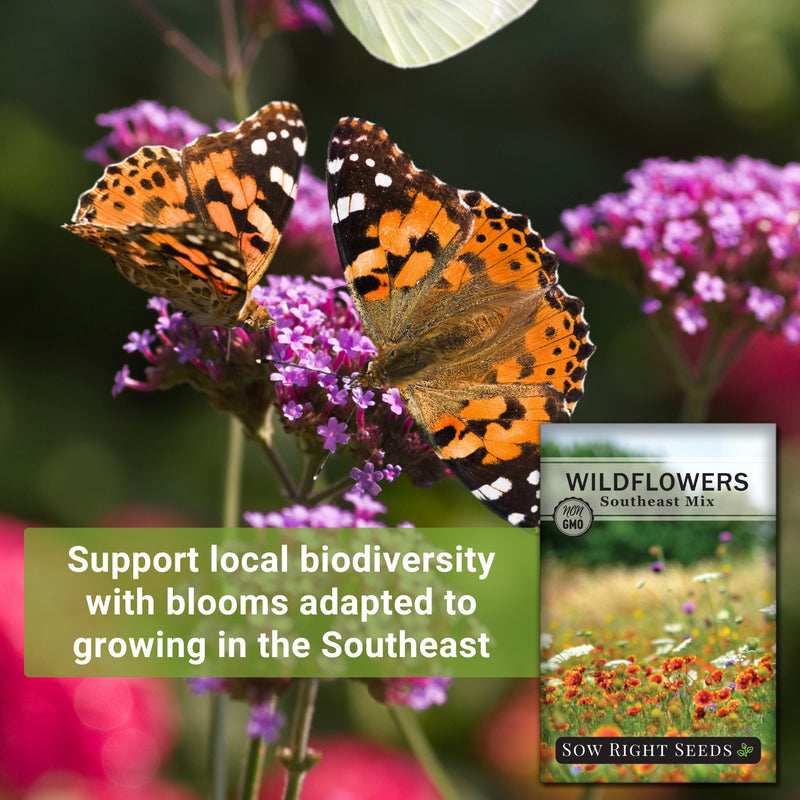 wildflower seeds for southeast Sow Right Seeds - Wildflowers Seeds Mix for Planting in Southeast - Non-GMO Heirloom Varieties to Grow a Wild Flower Garden