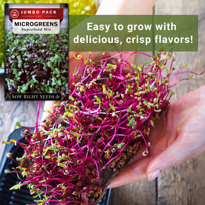 Bulk Superfood Microgreens Mix 1 Ounce Seeds