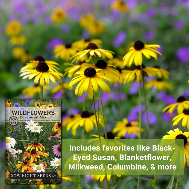 perennial mix wildflowers seeds includes favorites like black-eyed susan, blanket flower, milkweed, columbine and more