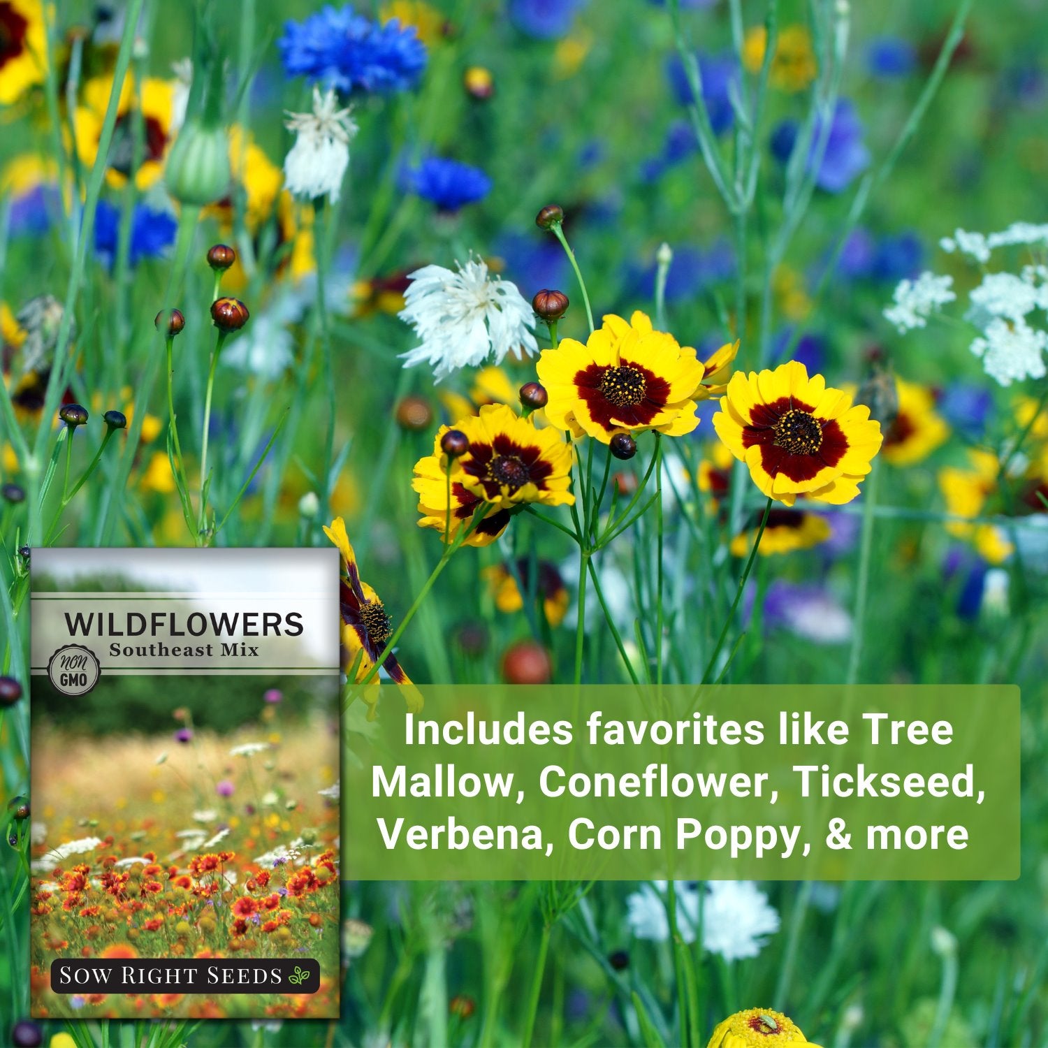 perennial wildflowers seeds Sow Right Seeds - Wildflowers Seeds Mix for Planting in Southeast - Non-GMO Heirloom Varieties to Grow a Wild Flower Garden